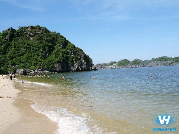 Khám phá Đảo Ngọc Vừng: Hòn đảo đặc biệt giữa lòng Quảng Ninh 