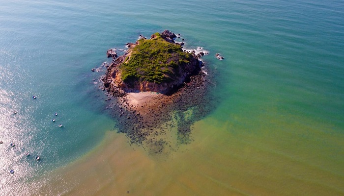 Hòn Rùa Bình Thuận - thế giới đại dương hoang sơ và kỳ thú